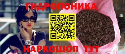 apvp Лесосибирск